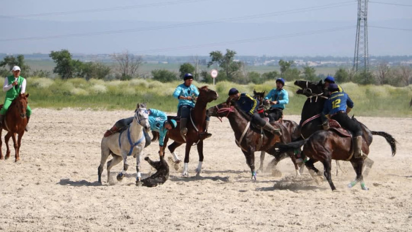  © акимат Туркестанской области 
