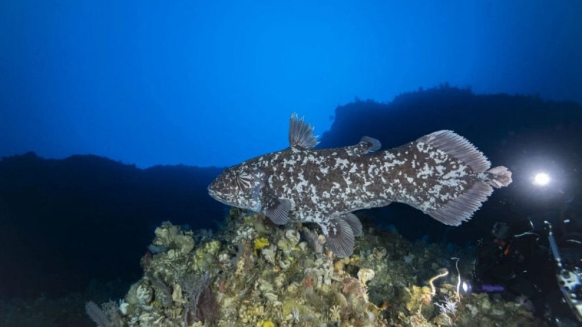  © Alexis Chappuis, Scientific Reports 