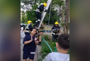 В Алматы спасатели сняли кота с дерева под аплодисменты детей и соседей