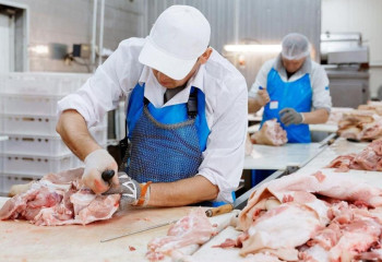 Рост производства мяса в Казахстане: уверенная динамика развития отрасли