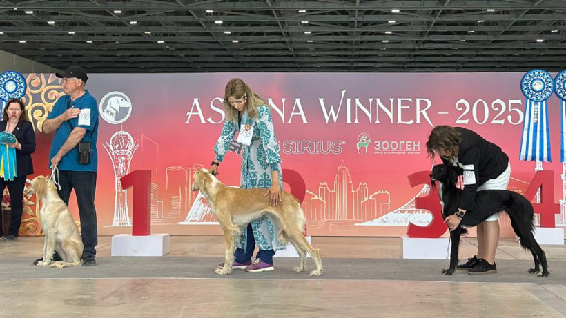  El.kz/Ынтымақ Толқын 