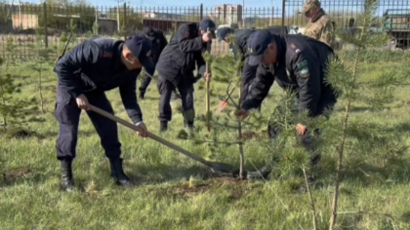  Видеодан кадр 