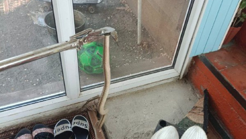  ТЖМ баспасөз қызметі 