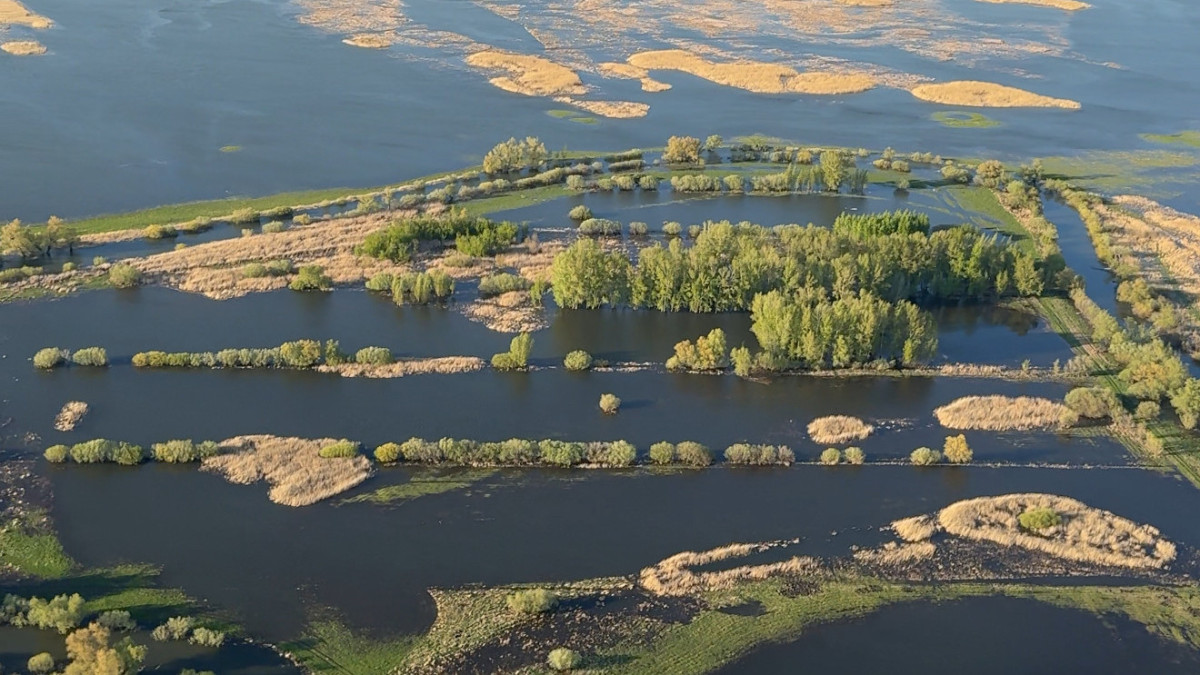  Валерий Бугаев / Пресс-служба акима Павлодарской области 
