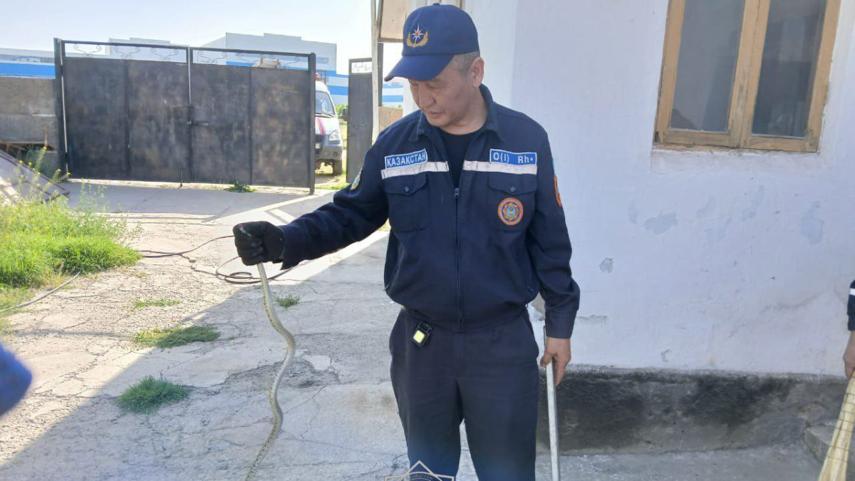  Төтенше жағдайлар министрлігі 