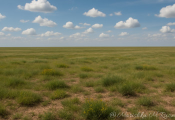В Атырауской области оштрафованы 42 нарушителя за незаконное использование земель