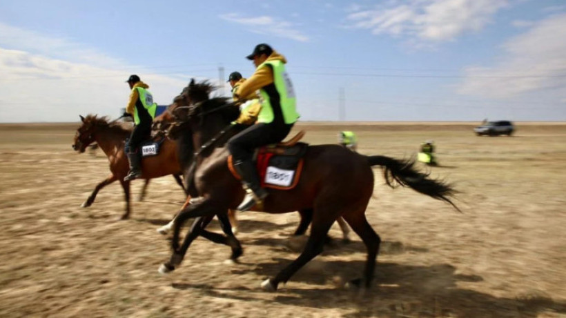  Алматы облысының әкімдігі 