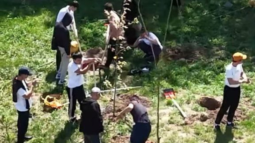  Видеодан кадр 