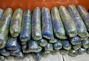 ҰҚК Шығыс Азия елдеріндегі есірткі контрабандасына тосқауыл қойды