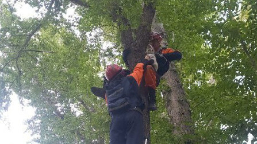  ТЖМ баспасөз қызметі 