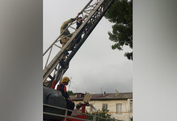 В Есике спасатели сняли с дерева мужчину