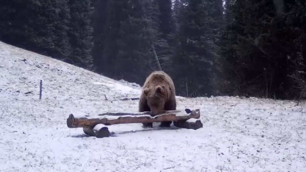  instagram.com/kolsai_national_park 