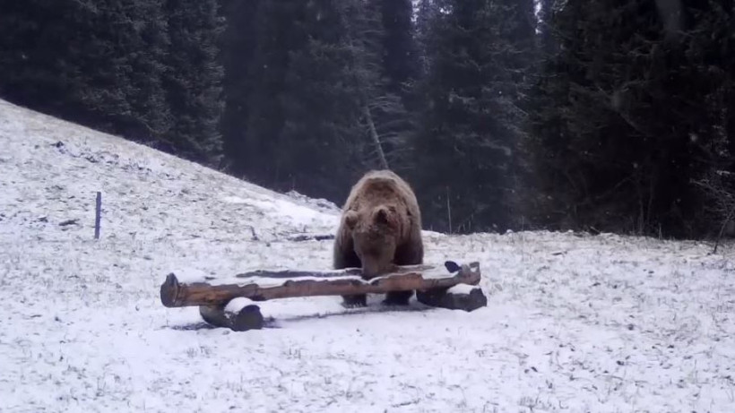  instagram.com/kolsai_national_park 