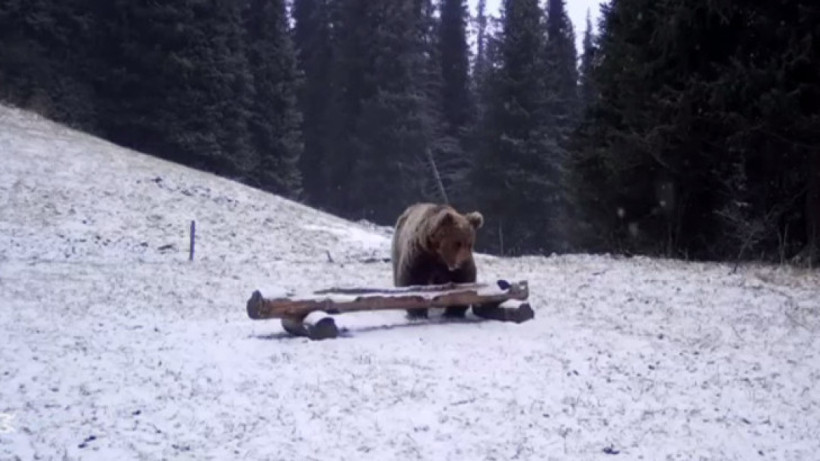  Screenshot from video 