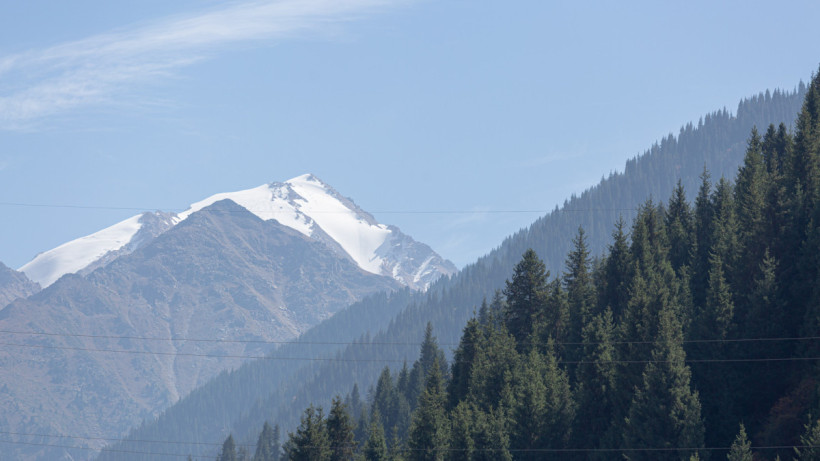  ©El.kz/Артем ЧУРСИНОВ 