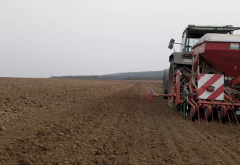 ШҚО-да 618 мың гектарға дейін егіс алқабы ұлғайтылды