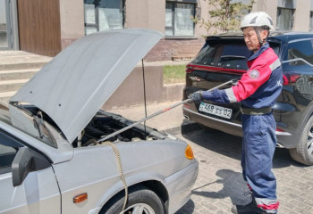 Змеи в городе: спасатели Шымкента ежедневно выезжают на вызовы
