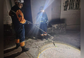 В Алматинской области спасатели МЧС поймали змею в жилом доме