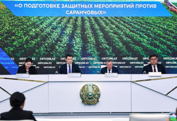 Саранча под контролем: как в Казахстане борются с вредителями в 2025 году