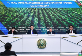 Екі облыстағы 397,3 мың гектар алқап шегірткеге қарсы өңделді