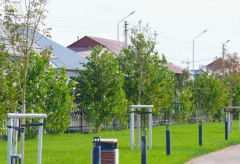 Свыше полумиллиона деревьев посадили в Туркестанской области