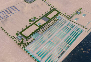 В Мангистау построят осетровую ферму и начнут выращивать морскую форель в Каспийском море