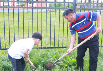 Ел бойынша республикалық «Отбасы ағашы» акциясы өтті