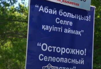 ШҚО-да сел қаупі кезеңі басталды