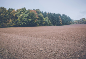 Жамбыл облысында 11,7 мың гектар жер мемлекет меншігіне қайтарылды
