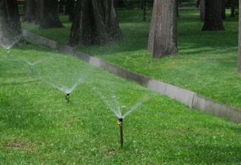 Алматыда соңғы екі жылда 1 миллионнан астам ағаш отырғызылды