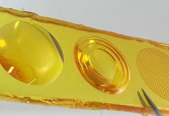 Аризона университеті ғалымдары елдергі күкірт мәселен шешпек