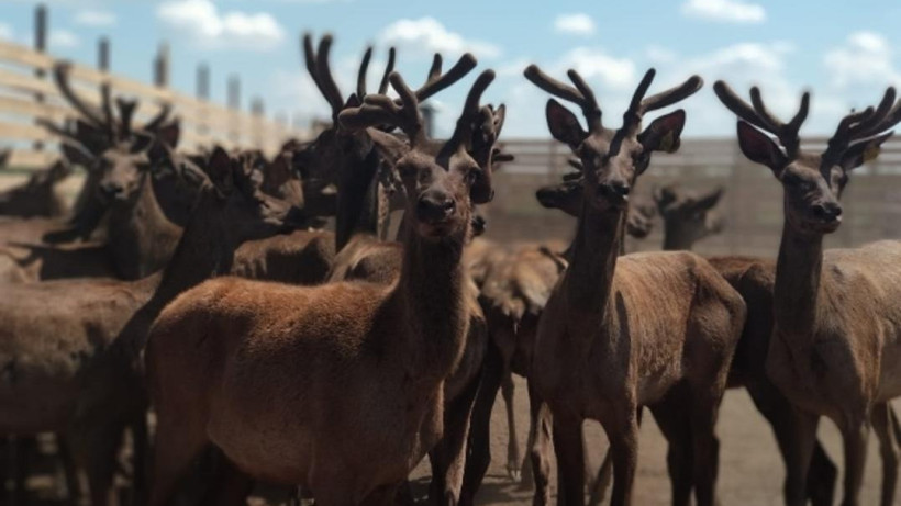  © Пресс-служба акимата Актюбинской области 