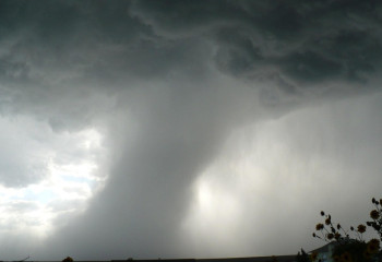 АҚШ-та торнадодан жеті адам көз жұмды