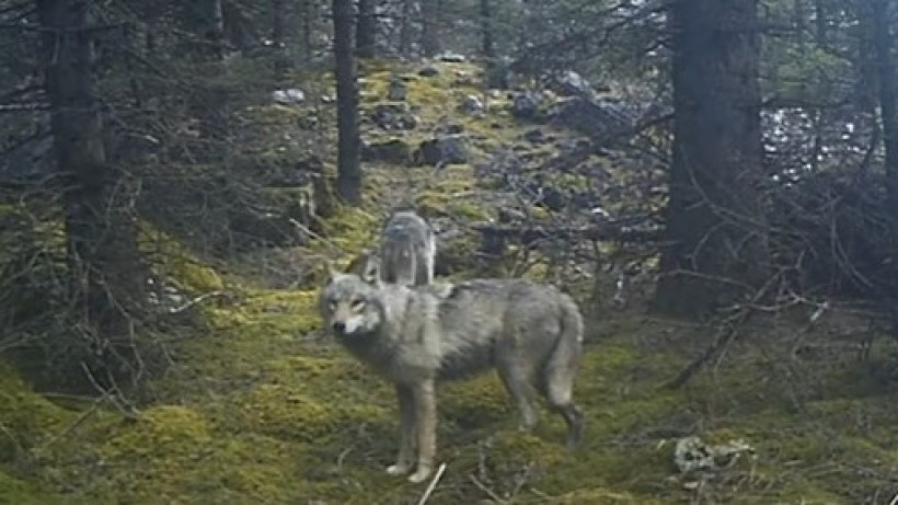  instagram.com/kolsai_national_park/ 