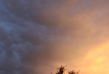 Бұршақ, дауыл: 19 мамырға арналған ауа райы болжамы