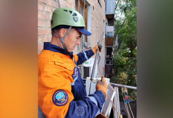 В Таразе спасатели сняли с высоты испуганную кошку и вернули хозяевам