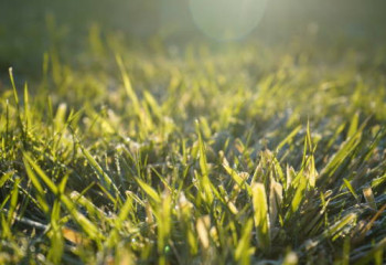 «Бұршақ, шаңды дауыл, тұман». Алдағы күндерге арналған ауа райы болжамы шықты