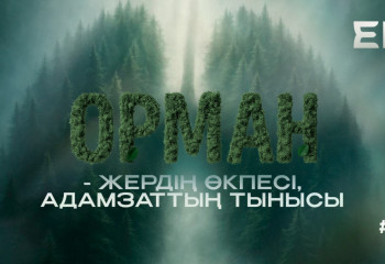 Экоlife #6 |  Орманды сақтау – жердің өкпесі, адамзаттың тынысы