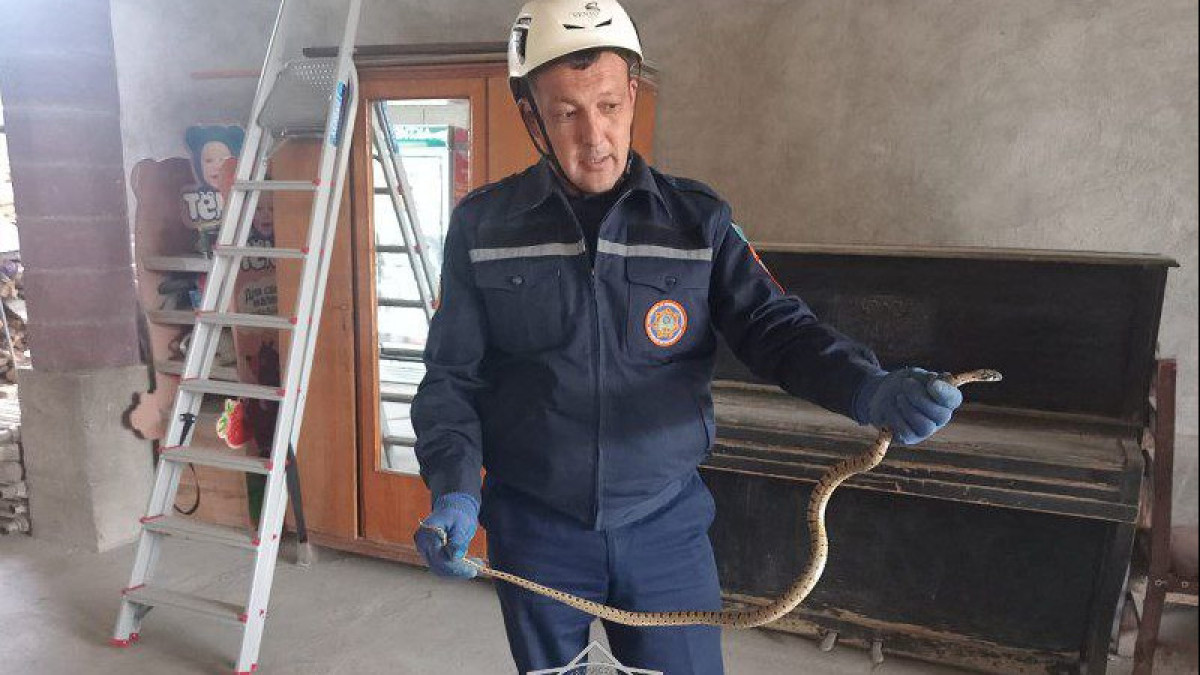  Төтенше жағдайлар министрлігі 