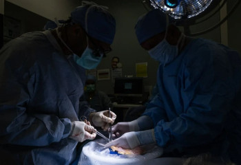 В США впервые в мире пересадили человеку мочевой пузырь: уникальная операция подарила пациенту шанс на полноценную жизнь