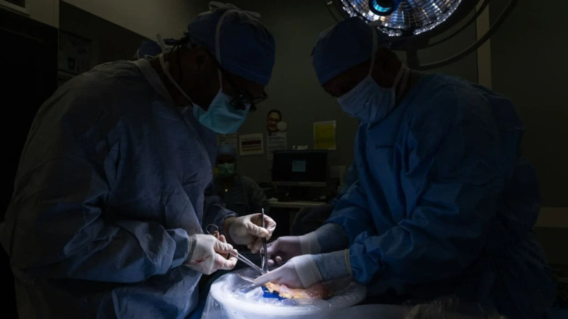  © Nick Carranza, UCLA Health 