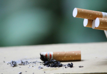 Соңғы 20 жылда темекі шегушілер саны 300 миллионға азайған - ДДСҰ