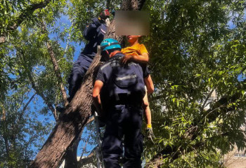 В Экибастузе ребенок забрался на дерево и не смог спуститься