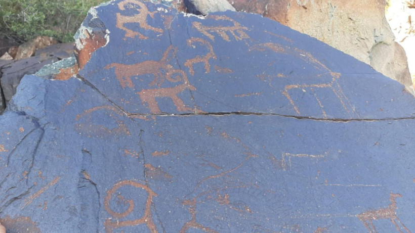  © акимат области Жетісу 