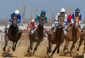 Түркістан қаласында заманауи ипподром салынып жатыр