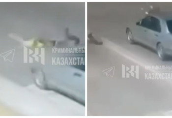 Жамбыл облысында екі оқушыны көлік қағып кетті