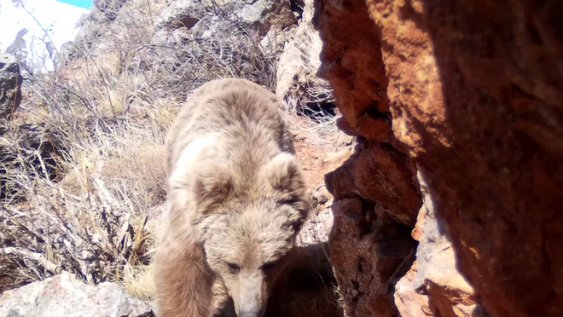  Министерство экологии и природных ресурсов РК 