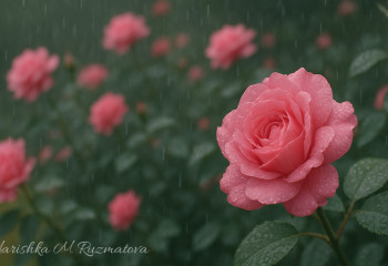 Погода в Казахстане на 22 мая: дожди и грозы на севере, жара до +38°C на юге