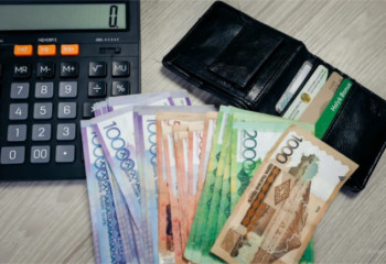 Көпбалалы отбасыларға 300 млрд теңге  жәрдемақы төленді