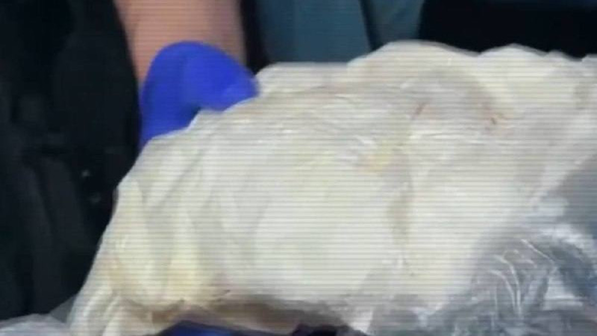  Видеодан кадр 